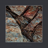 возвращение к морю