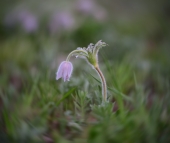 ..и пусть всё вертится вокруг меня!