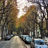 #24 из серии "Парижск"