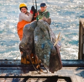 Грязная работа.