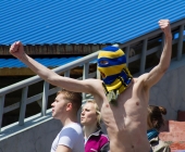 Шмель дальневосточный