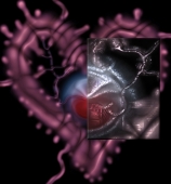 Подарок Великого и Ужасного