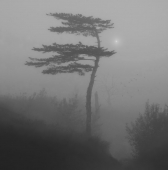 остров туманов