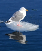 на маленьком плоту