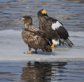 Родственники