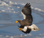 На посадку На посадку