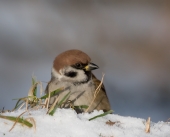 Как я вам в профиль? Как я вам в профиль?