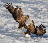 Ты меня уважаешь?