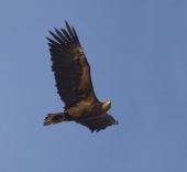 Мы вернулись! Мы вернулись!