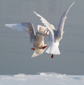 Серьезный разговор