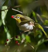 Не хотите попробовать?