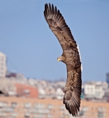 На вираже На вираже