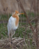 Одиночество