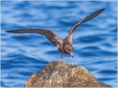 Тяжелый камень, не поднять!