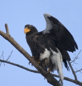 Во всей красе
