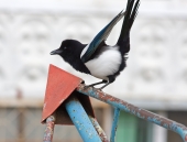 На детской площадке