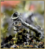 Маленький Мир...