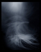 .......... ..........