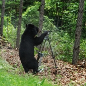 Не оставляйте штативы без присмотра!