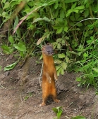 Оу! А чойта это там?