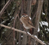Немного смущаясь...