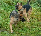 Опять напился?!