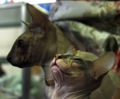 Самооценка