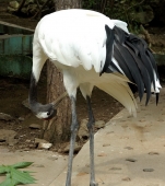 Техосмотр)))