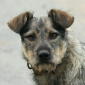 Не детский взгляд