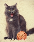 ...да не кричу я!