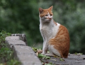 В поисках смысла... В поисках смысла...