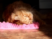 Сеанс массажа