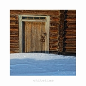 никто не придёт. д. Курья.