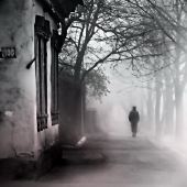 Внутри дома застыло время,  а  деревья снаружи за жизнь бьются. Человек - слеп.