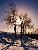 Незатейливая зарисовочка Незатейливая зарисовочка