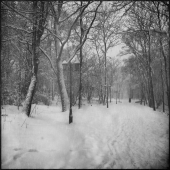 Покровский парк.