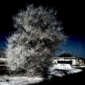 ночной свет