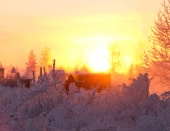 Март, зима продолжается...