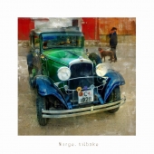 прогулка. в ожидании визита королевы