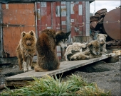 Еще не зима