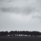 Безмолвно летят птицы ночи...