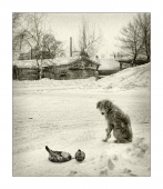 Поделись со мной...