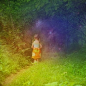 Волшебный лес.. Волшебный лес..