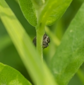 Как же надоели мне все эти папарацци...