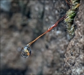 Трасса Е-95...