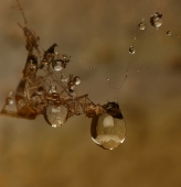 Было и будет...