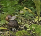 Похожие берега...