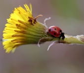 Очень тепло..