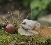 Мы вместе,но не многие знают в каком... Мы вместе,но не многие знают в каком...