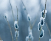 Весенняя рапсодия...